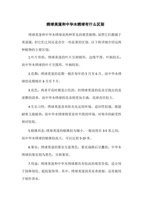 绣球荚蒾和中华木绣球有什么区别