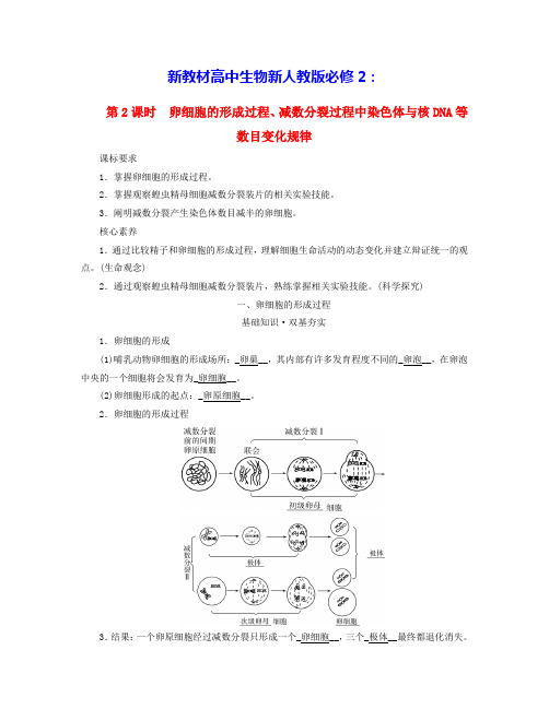 新教材高中生物第2章减数分裂过程中染色体与核DNA等数目变化规律学案新人教版必修2(含答案)