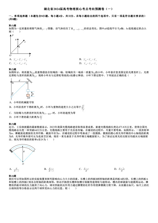 湖北省2024届高考物理核心考点考向预测卷(一)