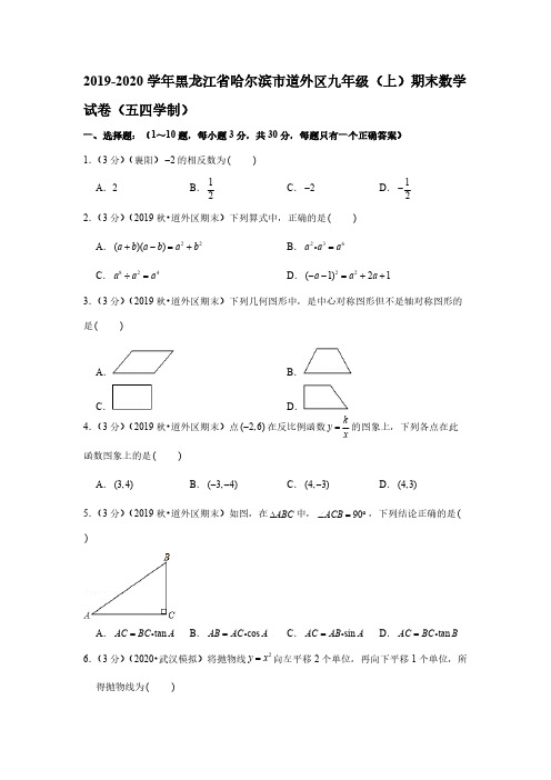 2019-2020学年黑龙江省哈尔滨市道外区九年级(上)期末数学试卷