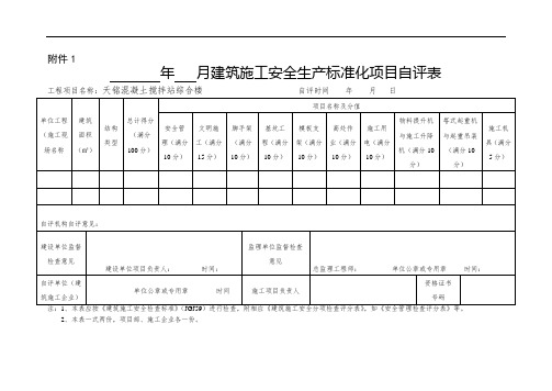 施工安全生产标准化项目自评表