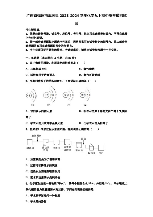 广东省梅州市丰顺县2023-2024学年化学九上期中统考模拟试题含解析