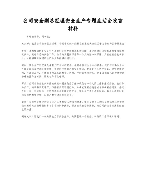 公司安全副总经理安全生产专题生活会发言材料