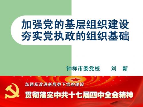 加强党的基层组织建设 夯实党执政的组织基础