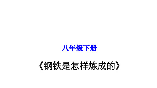 名著导读《钢铁是怎样炼成的》：摘抄和做笔记 八年级语文下册单元复习(部编版)