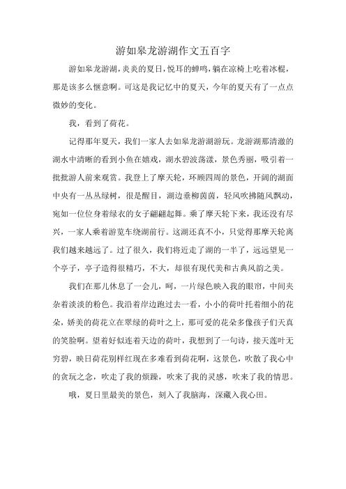 游如皋龙游湖作文五百字