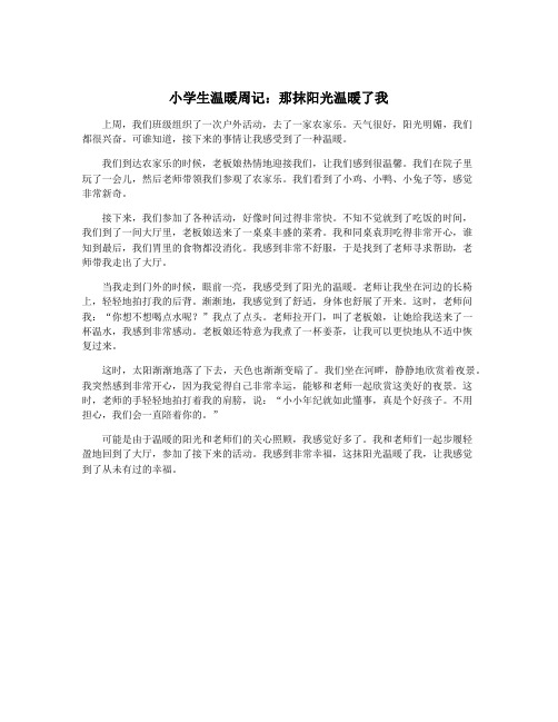 小学生温暖周记：那抹阳光温暖了我