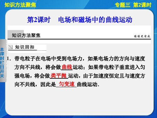 高三物理二轮复习专题课件精编：专题三 第2课时 电场和磁场中的曲线运动