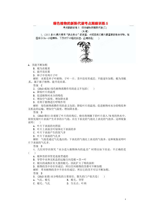 广东省深圳市福田云顶学校中考生物总复习 绿色植物的