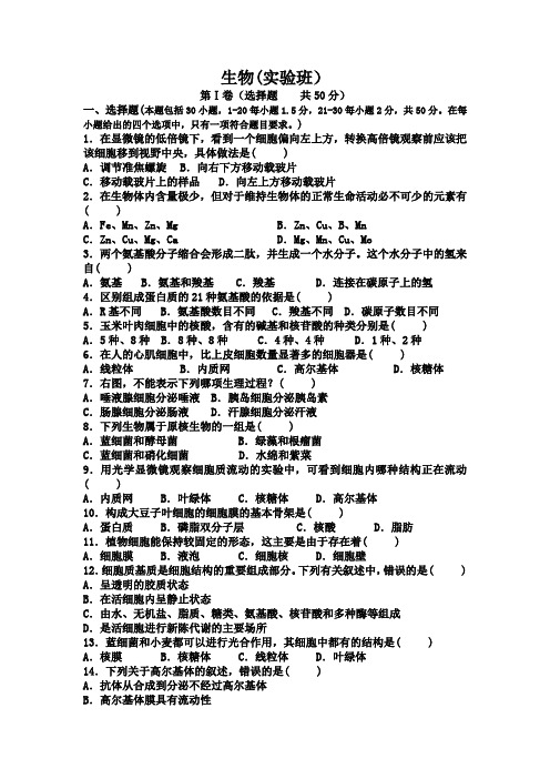 甘肃省民勤县第四中学 高一上学期期中考试(实验班)生物试卷(word版含答案)