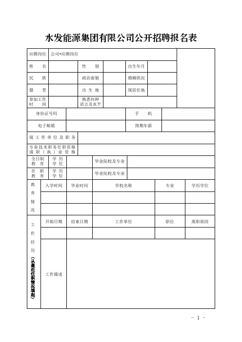 水发能源集团有限公司公开招聘报名表