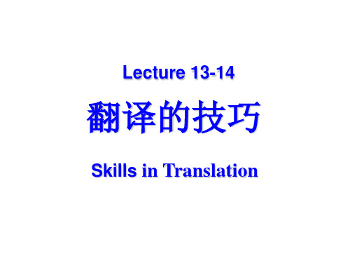 大学翻译理论与实践Lecture 13-14 Skills in Translation