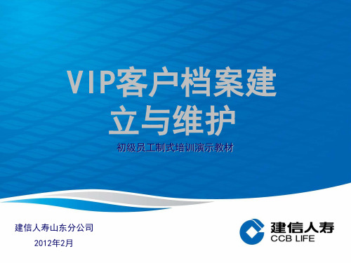 VIP客户档案建立与维护