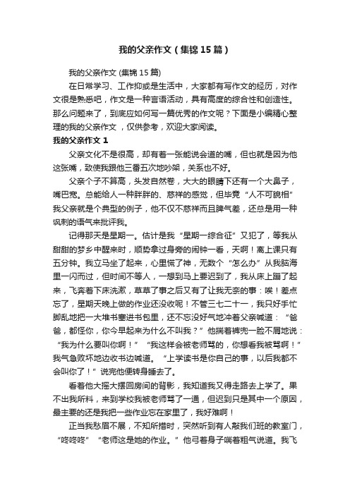 我的父亲作文（集锦15篇）