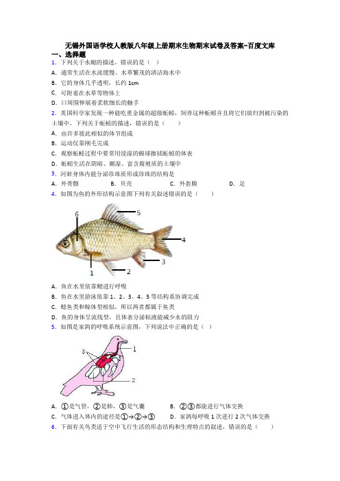 无锡外国语学校人教版八年级上册期末生物期末试卷及答案-百度文库