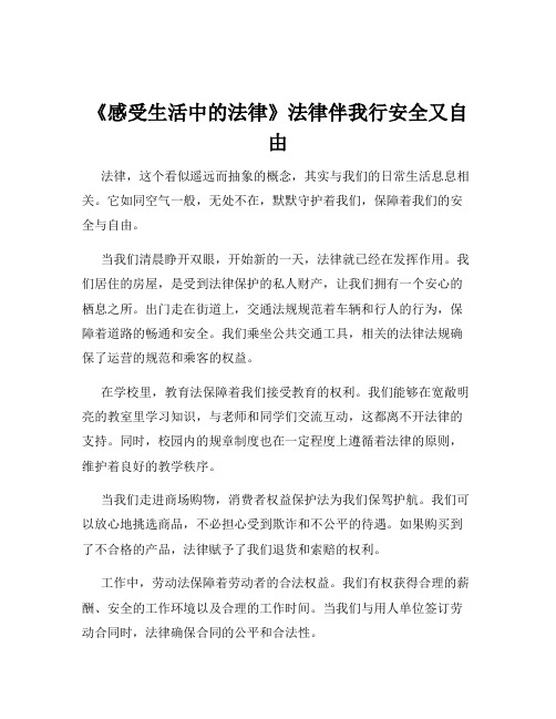 《感受生活中的法律》法律伴我行安全又自由