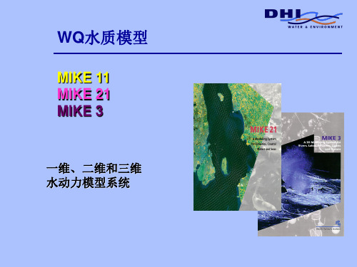 DHIMIKE水环境教程