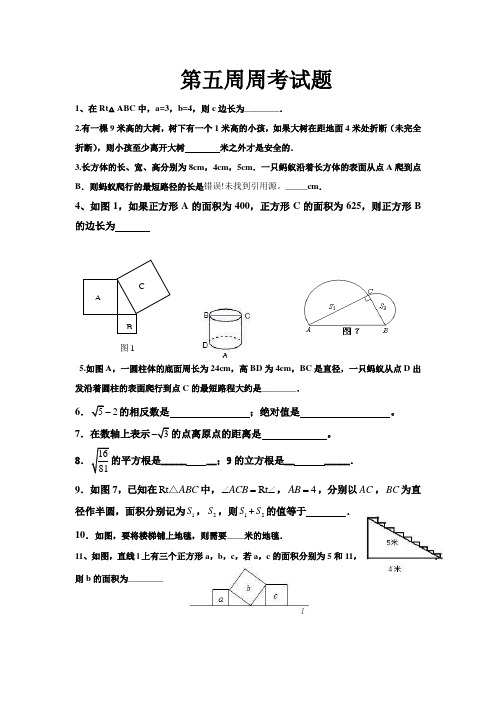 第五周测试题