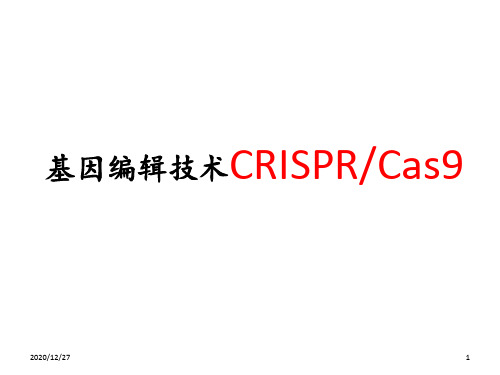 CRISPR_Cas9_基因编辑技术简介 ppt课件