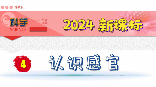 (2024新课标)苏教版科学一年级上册-4 认识感官PPT课件