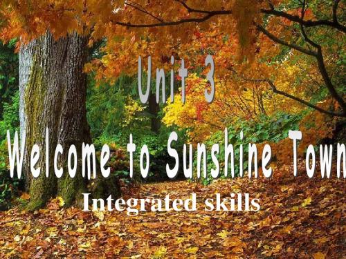 牛津译林版英语7B Unit3 Integrated skills公开课课件