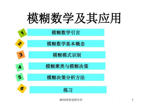 11模糊数学及其应用