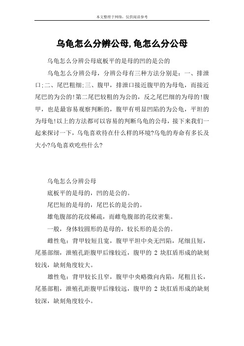 乌龟怎么分辨公母,龟怎么分公母