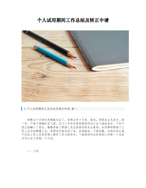 个人试用期间工作总结及转正申请