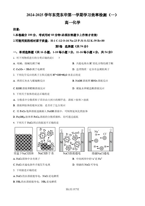 东莞市东华高级中学2024-2025学年高一上学期第一次月考 化学试题