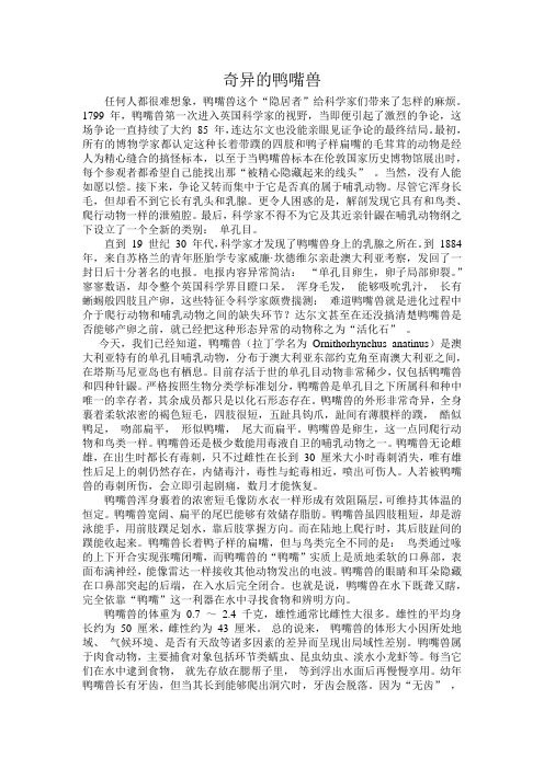 奇异的鸭嘴兽