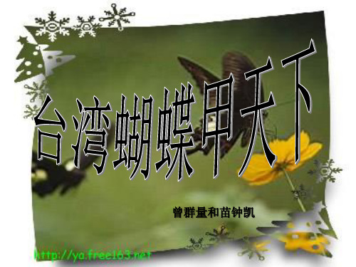 s版语文四上 台湾蝴蝶甲天下 ppt课件PPT