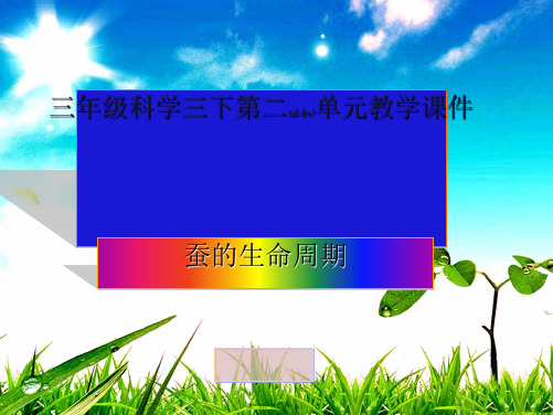 三年级自然与科学下册 蚕的生命周期课件