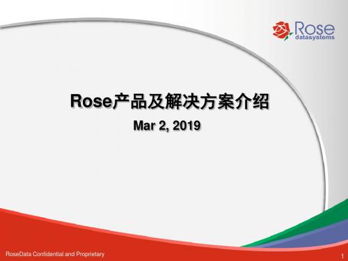 Rose产品及解决方案简介-业务连续性解决方案-精品文档