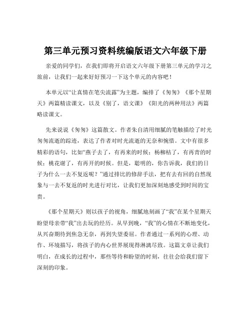 第三单元预习资料统编版语文六年级下册