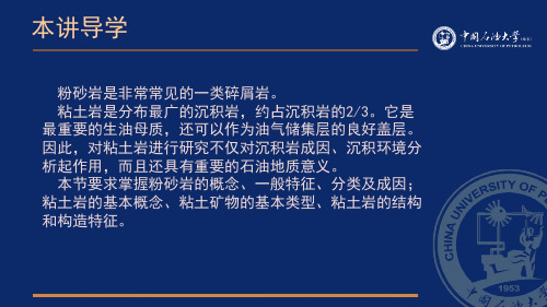 沉积岩与沉积相5.3陆源碎屑岩各论