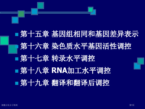 细胞分化分子机制