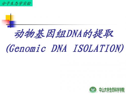 2.动物基因组DNA的提取