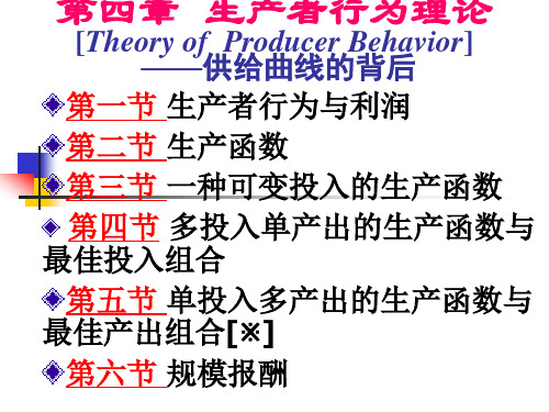 第4章生产者行为理论