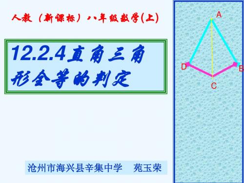 数学人教版八年级上册“斜边、直角边”判定直角三角形全等