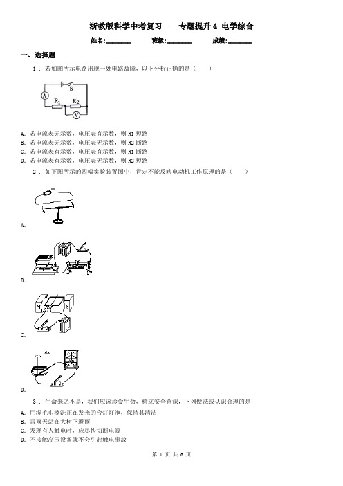 浙教版科学中考复习——专题提升4 电学综合
