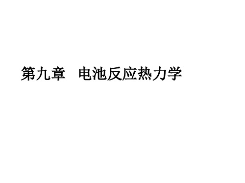 湖南大学物理化学电池反应