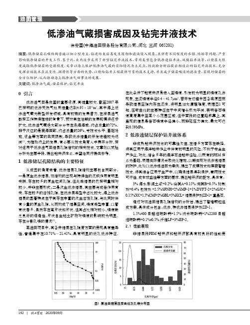 低渗油气藏损害成因及钻完井液技术