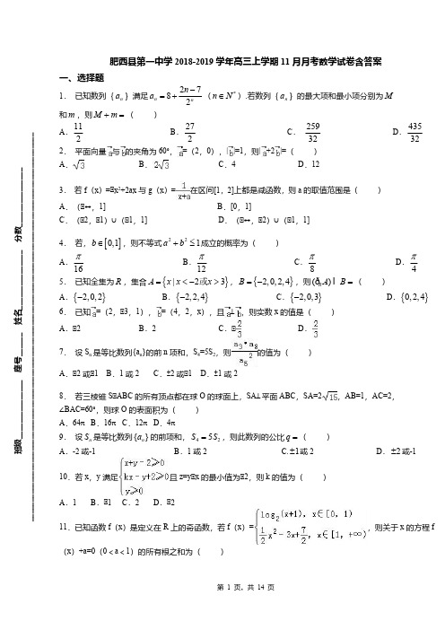 肥西县第一中学2018-2019学年高三上学期11月月考数学试卷含答案