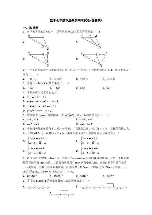 数学七年级下册数学期末试卷(含答案)