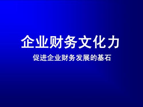 企业财务文化力片