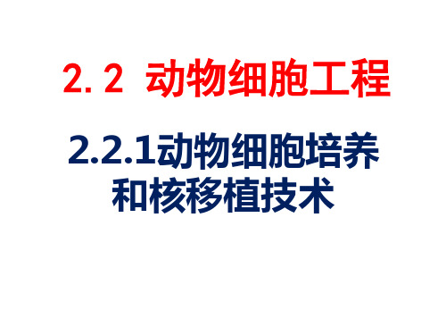 人教版高中生物选修3专题二动物细胞培养和核移植技术(课件 共18张PPT)