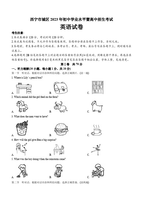 2023年青海省西宁市城区中考英语试卷(含答案)