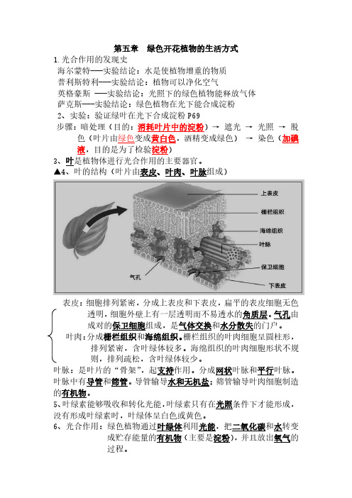 生物第五章  绿色开花植物的生活方式