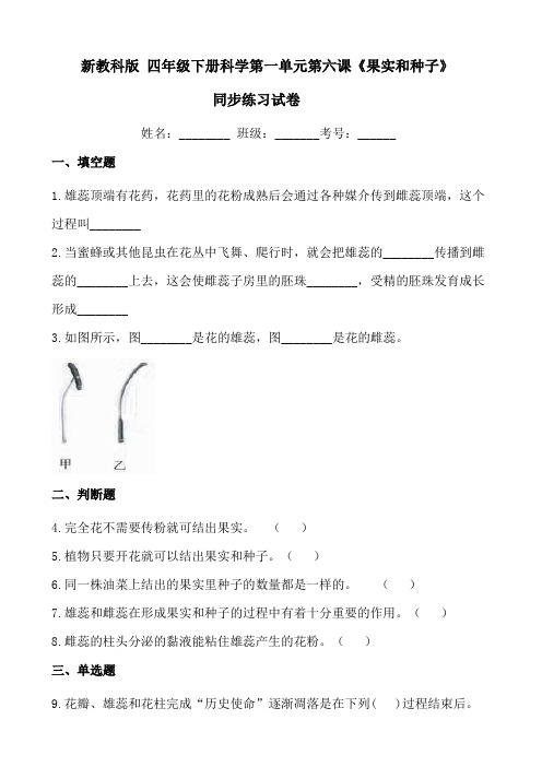 新教科版 四年级下册科学第一单元第六课《果实和种子》同步练习试卷