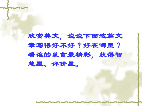 欣赏和评价PPT课件